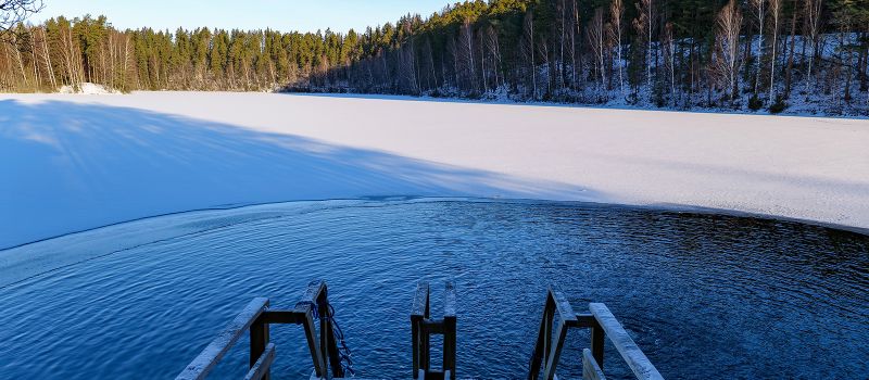 AVANTOLAITURI WEB HEADER